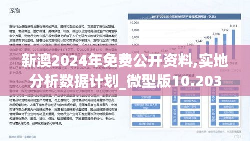 探索未来，2025新澳精准免费大全的实证释义、解释与落实策略,2025新澳精准免费大全-实证释义、解释与落实