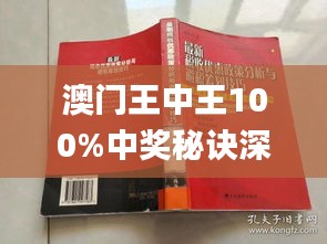 澳门王中王100%期期中，深度解析与实际应用,澳门王中王100%期期中 实用释义、解释与落实