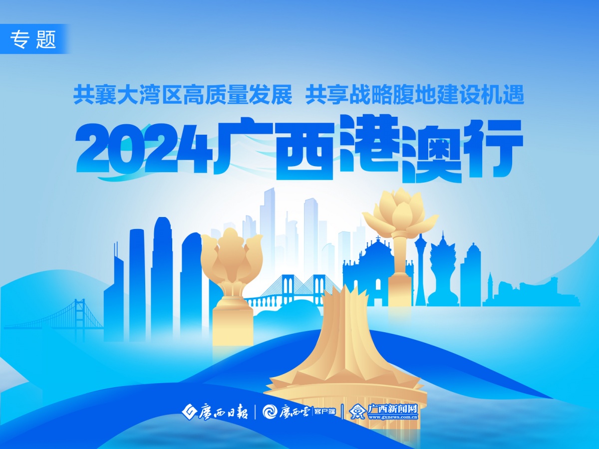 迈向未来，全面释义与落实澳门精准服务到2025年,2025新澳门精准免费提供全面释义、解释与落实