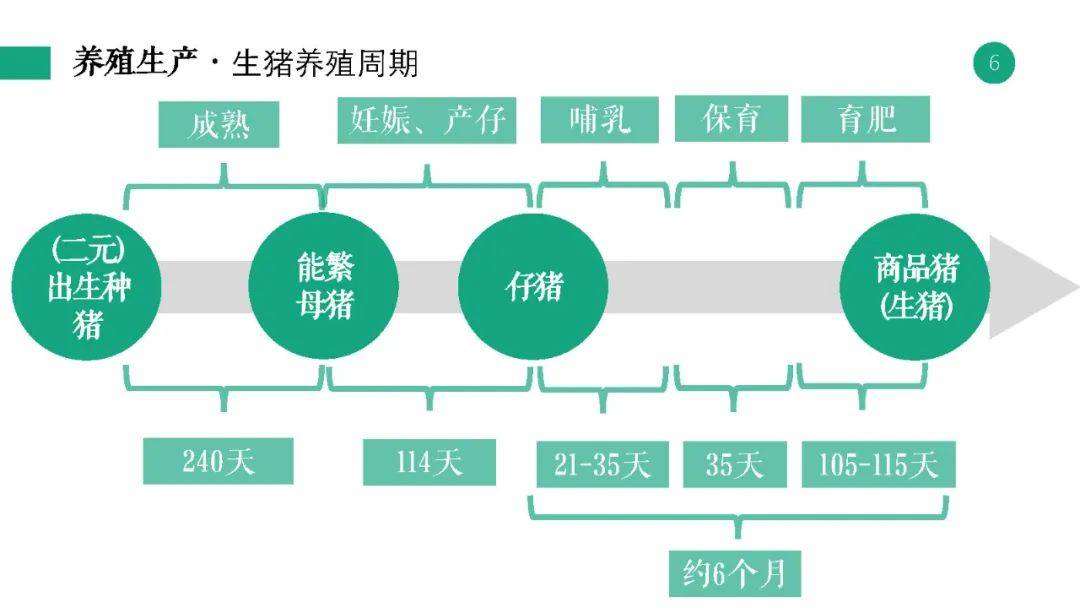 揭秘2025新奥精准资料免费大全—全方位获取最新资源指南,2025新奥精准资料免费大全,2025新奥精准资料免费大全