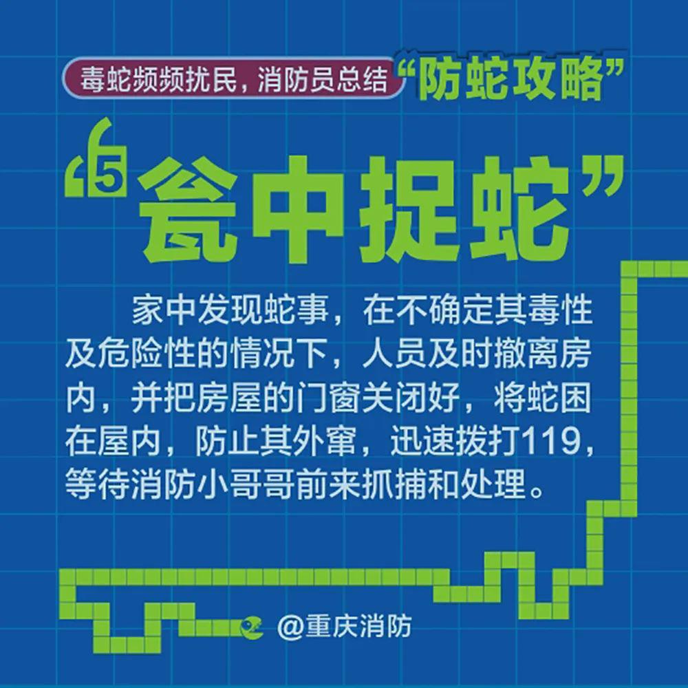 最准一码一肖，揭秘精准预测与管家婆的综合应用策略,最准一码一肖100%精准,管家婆,涵盖了广泛的解释落实方法