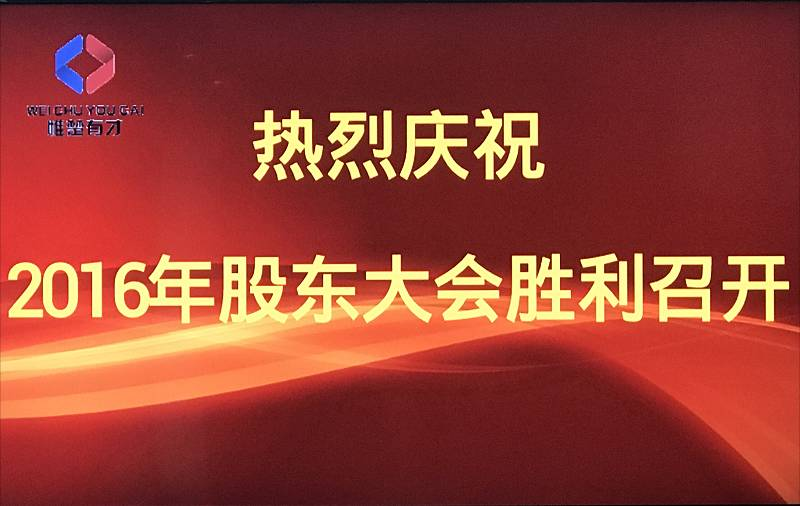 迈向卓越之路，王中王一肖一中一特一中2025细化任务落实战略,王中王一肖一中一特一中2025,细化任务落实