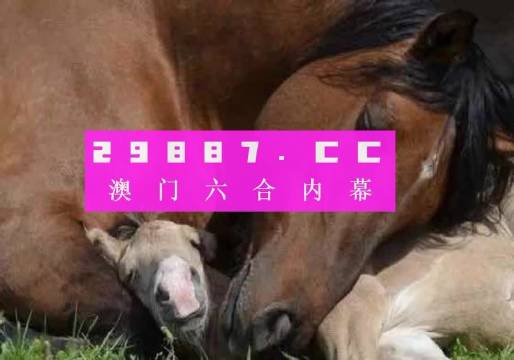 澳门特马开奖风云再起，成语解释落实问题之我见,4949澳门特马今晚开奖53期,确保成语解释落实的问题_尊享款