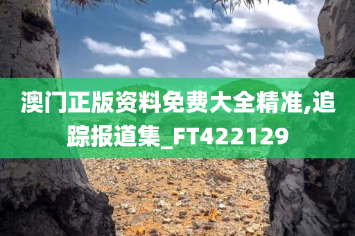 新澳2025年最新版资料概览,新澳2025年最新版资料,新澳2025年最新资料概览