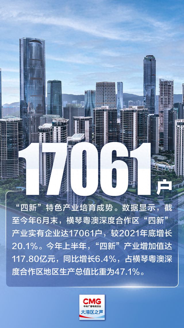 探索未来，精准解读澳门王中王资料，展望新澳门的发展蓝图,2025年新澳门王中王资料,精准解答解释落实