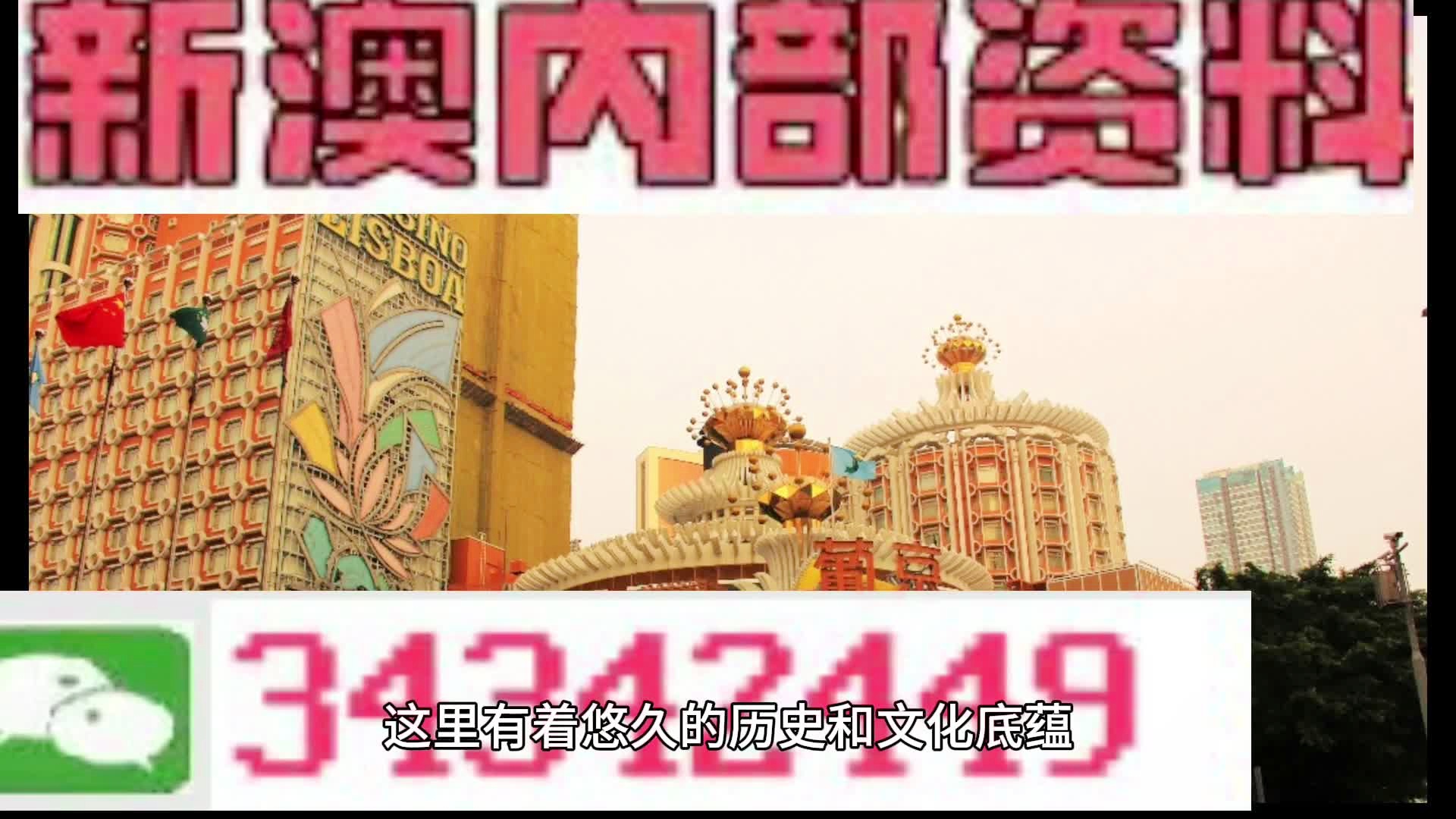 新澳门正版免费资料查询指南与资料获取技巧分享,新奥门正版免费资料怎么查,资料获取技巧分享
