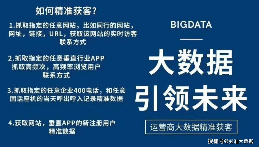 公开新澳2025最精准策略，详细解答、解释与落实,公开新澳2025最精准正最精准,详细解答、解释与落实