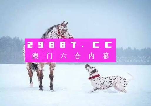 澳门一码一码100准确天天，揭秘真相、详细解答与实际应用,澳门一码一码100准确天天,详细解答、解释与落实