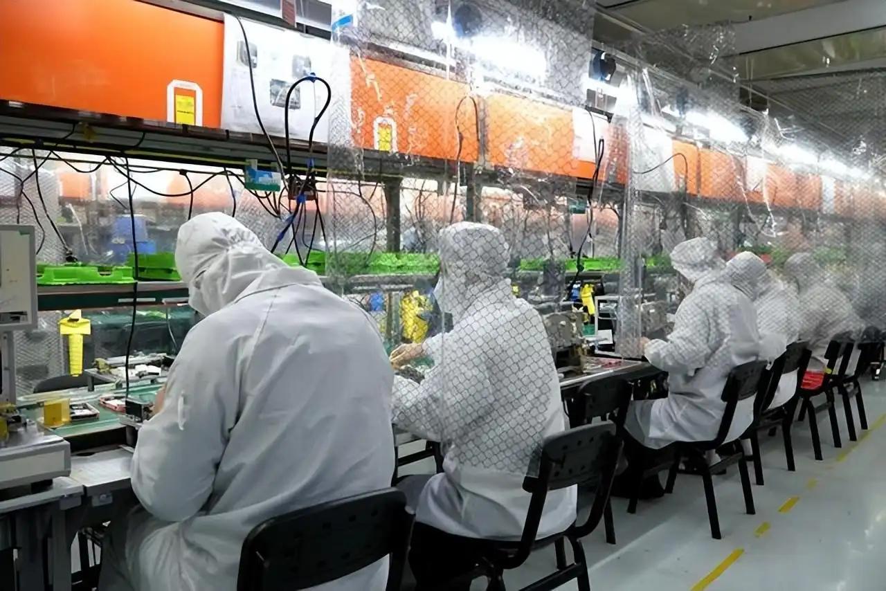 迈向2025，正版资料免费公开，策略解析与实施路径,2025全年正版资料免费资料公开,精选解析、落实与策略