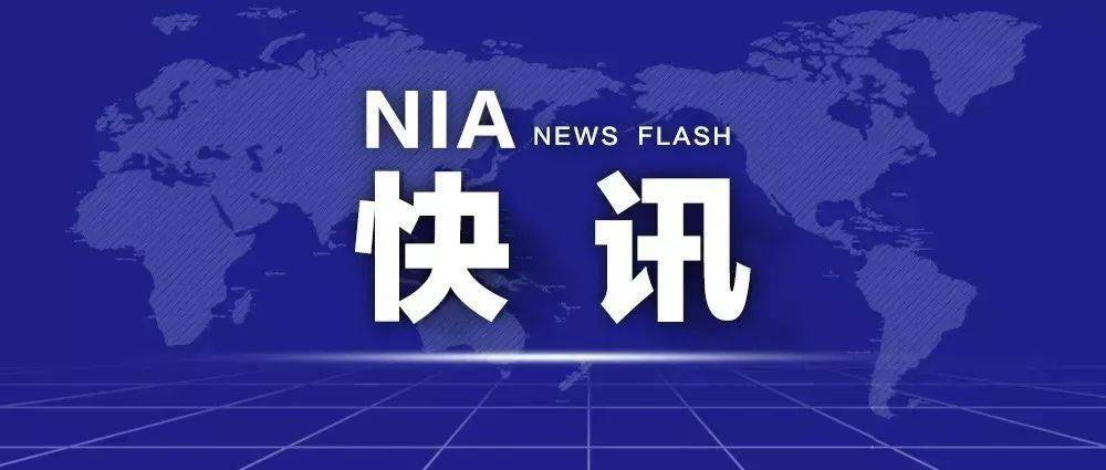 新闻 第15页